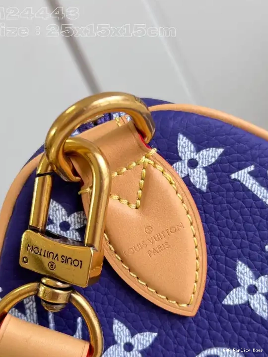 Aaa replica bags Vuitton 25 SPEEDY Louis 0603